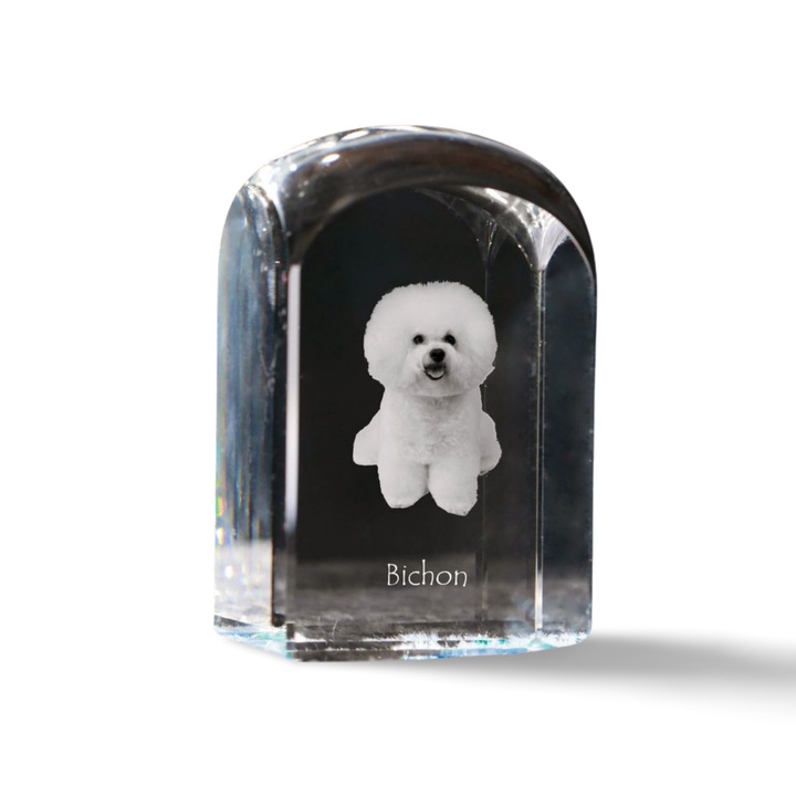 Kristály dekorációs kiegészítő, Art-Dog, fényképpel személyre szabott, 10x6x6cm, átlátszó, Bichon modell