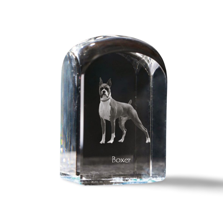 Accesoriu decorativ, Art-Dog, personalizata cu fotografie, 10x6x6cm, transparent, model Boxer