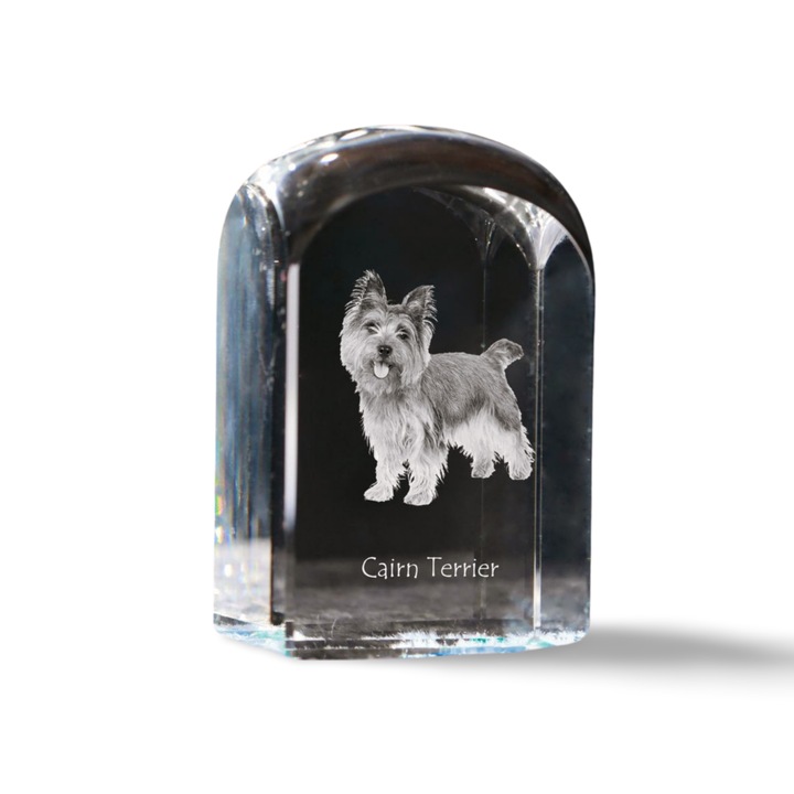 Kristály papírnehezék, Art-Dog, fényképpel személyre szabott, 10x6x6cm, átlátszó