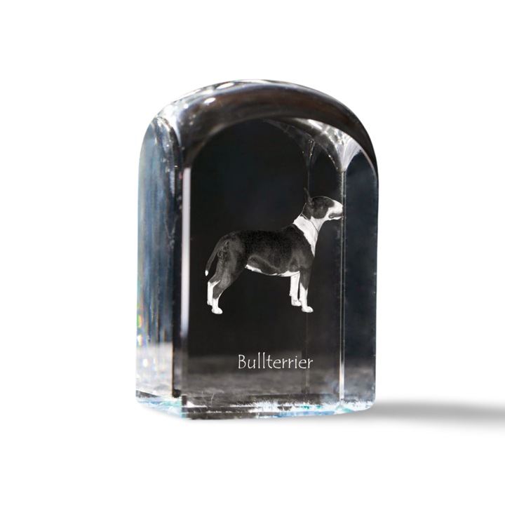Art-Dog kristály dekorációs kiegészítő, fényképpel személyre szabott, 10x6x6cm, bullterrier modell