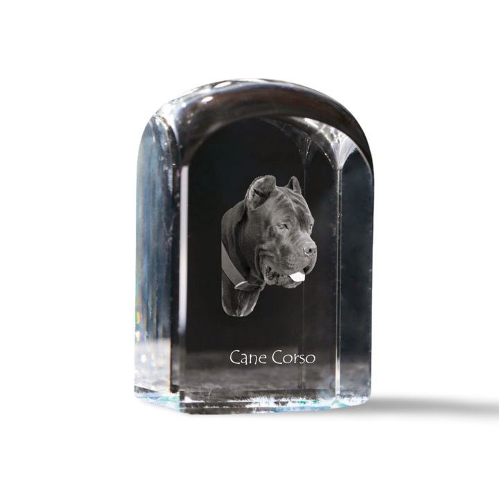 Kristály papírnehezék, Art-Dog, fényképpel személyre szabott, 10x6x6cm, átlátszó