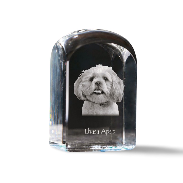 Kristály papírnehezék, Art-Dog, fényképpel személyre szabott, 10x6x6cm, átlátszó