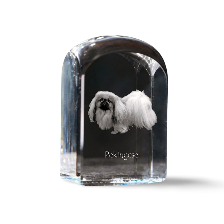 Kristály papírnehezék, Art-Dog, fényképpel személyre szabott, 10x6x6cm