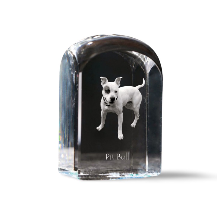 Kristály papírnehezék, Art-Dog, fényképpel személyre szabott, 10x6x6cm, átlátszó