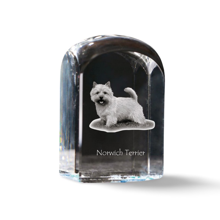 Kristály papírnehezék, Art-Dog, fényképpel személyre szabott, 10x6x6cm, átlátszó