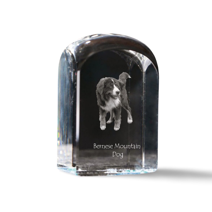 Kristály dísztárgy, Art-Dog, személyre szabott képpel, 10x6x6cm, átlátszó, Berni hegyi kutya modell