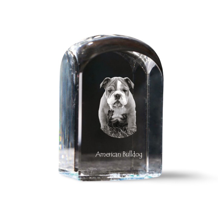 Kristály dísztárgy, Art-Dog, fényképpel személyre szabott, 10x6x6cm, átlátszó, amerikai bulldog modell