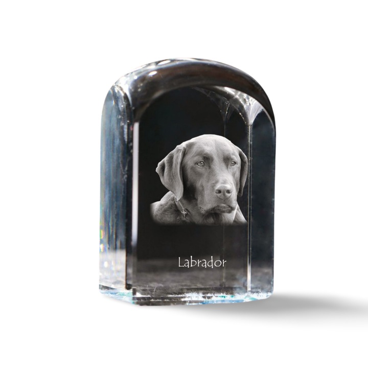 Dekoratív kristály kiegészítő, Art-Dog, Labrador Retriever, személyre szabott, 10x6x6cm, Labrador Retriever modell