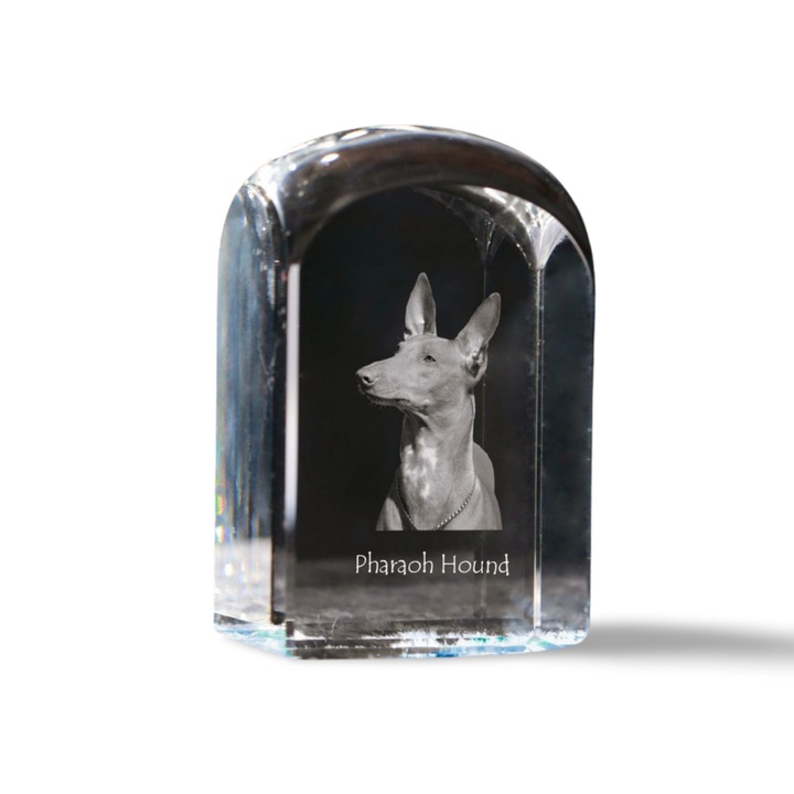 Dekoratív kristály kiegészítő Art-Dog, kutyaképpel személyre szabott, 10x6x6cm, átlátszó