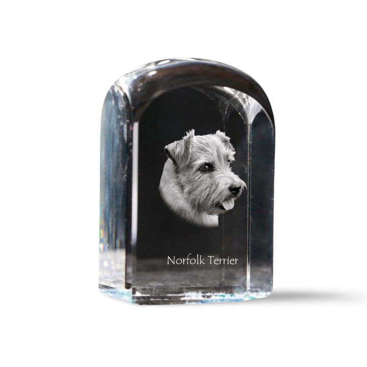 Kristály papírnehezék, Art-Dog, fényképpel személyre szabott, 10x6x6cm, átlátszó