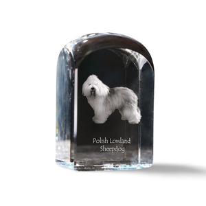 Accesorii decorative