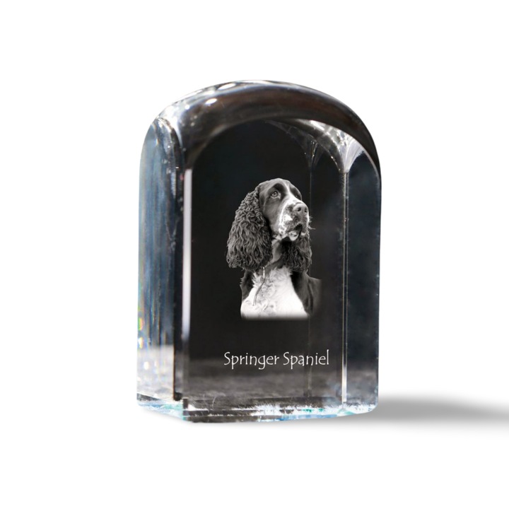 English Springer Spaniel - cub de cristal cu o fotografie, fotografie a unui caine in cristal, presapapa cubica de la marca Art-Dog