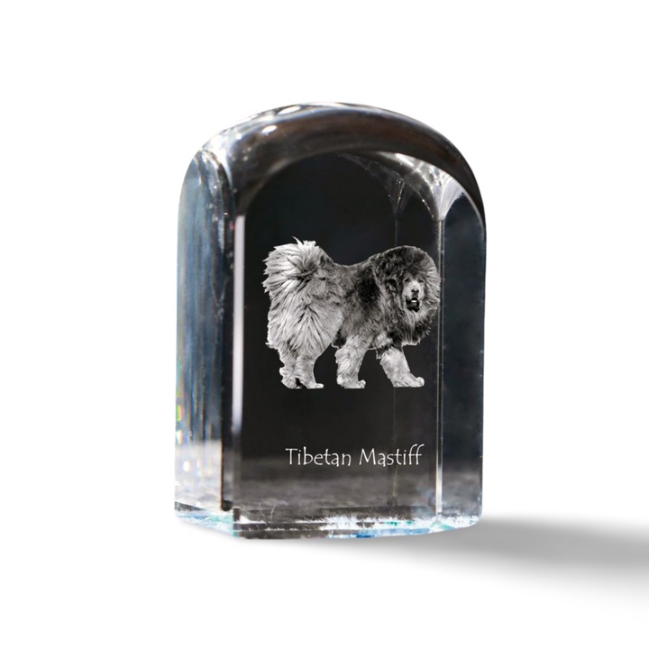 Kristály dísztárgy, Art-Dog, fényképpel személyre szabott, 10x6x6cm, átlátszó, tibeti masztiff számára