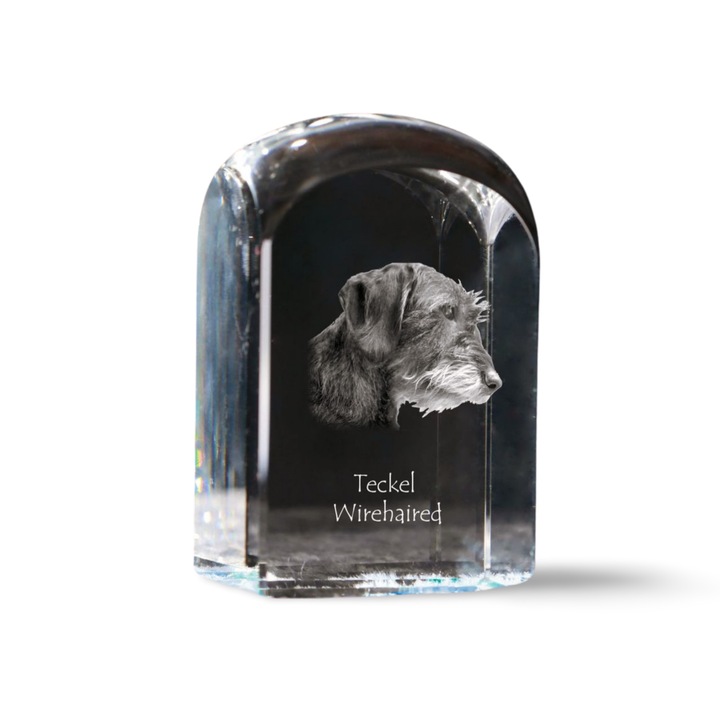 Kristály papírnehezék, Art-Dog, fényképpel személyre szabott, 10x6x6cm