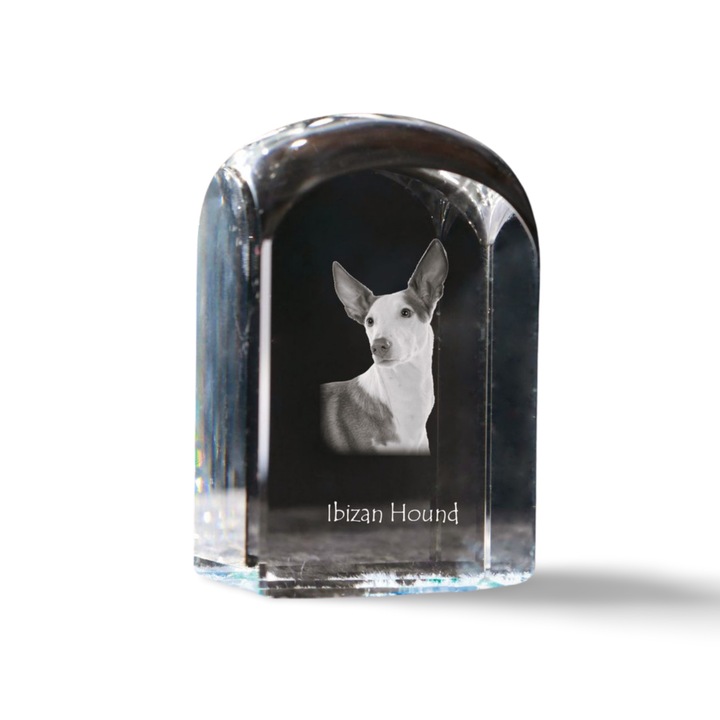 Dekoratív kristály kiegészítő, Art-Dog, fényképpel személyre szabott, 10x6x6cm, átlátszó, Ibizai vadászkutya modell