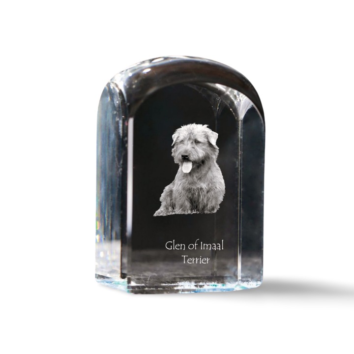 Kristály dísztárgy, Art-Dog, fényképpel személyre szabott, 10x6x6cm, Glen of Imaal Terrier modell