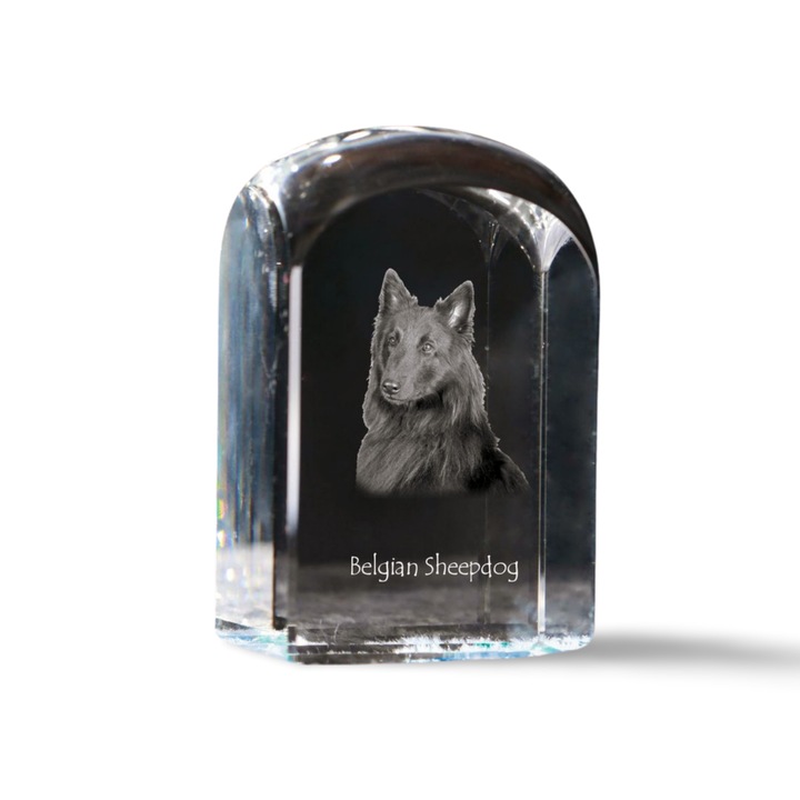 Kristály dísztárgy, Art-Dog, fényképpel személyre szabott, 10x6x6cm, átlátszó, belga juhászkutya modell