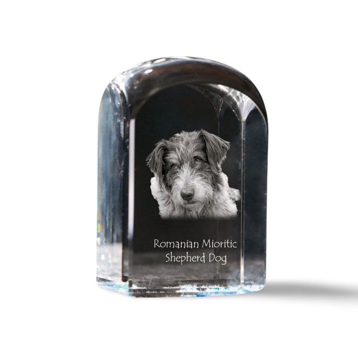 Dekoratív kristály kiegészítő, Art-Dog, fényképpel személyre szabott, 10x6x6cm, Román Mioritic Juhászkutya Modell