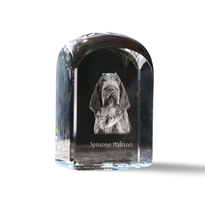 Kristály dekorációs kiegészítő, Art-Dog, fényképpel személyre szabott, 10x6x6cm, átlátszó