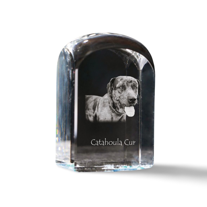 Accesoriu decorativ din cristal, Art-Dog, personalizata cu fotografie, 10x6x6cm, transparent, Model Catahoula Leopard Dog
