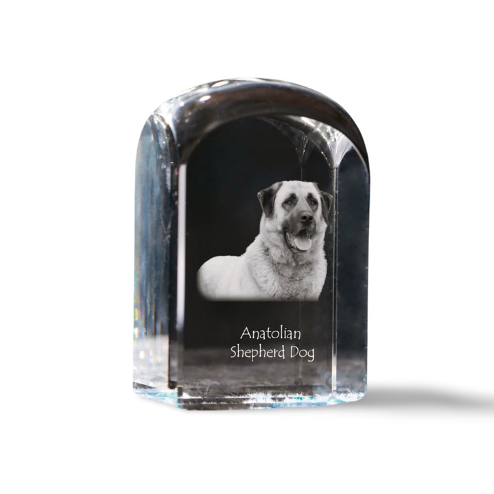 Kristály papírnehezék, Art-Dog, személyre szabott fényképpel, 10x6x6cm, átlátszó