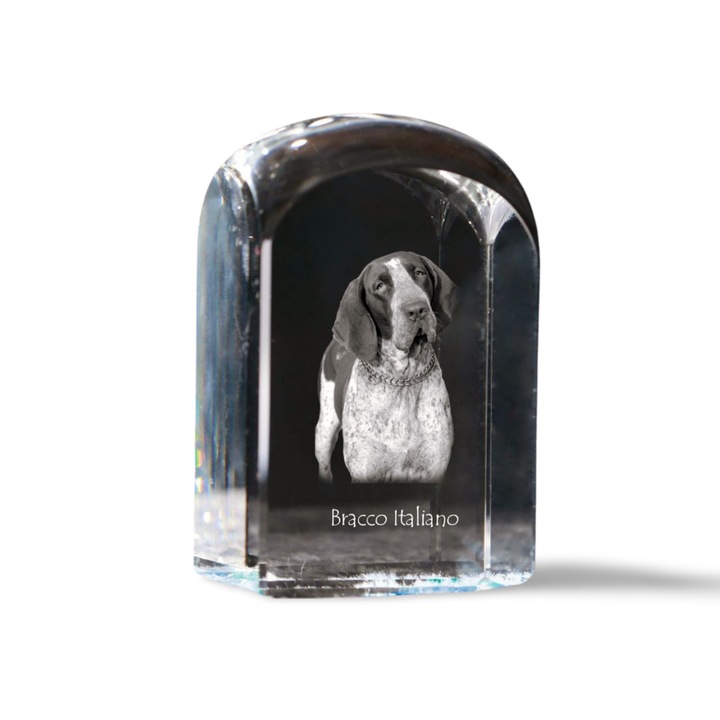 Kristály papírnehezék, Art-Dog, személyre szabott gravírozással, 10x6x6cm, átlátszó