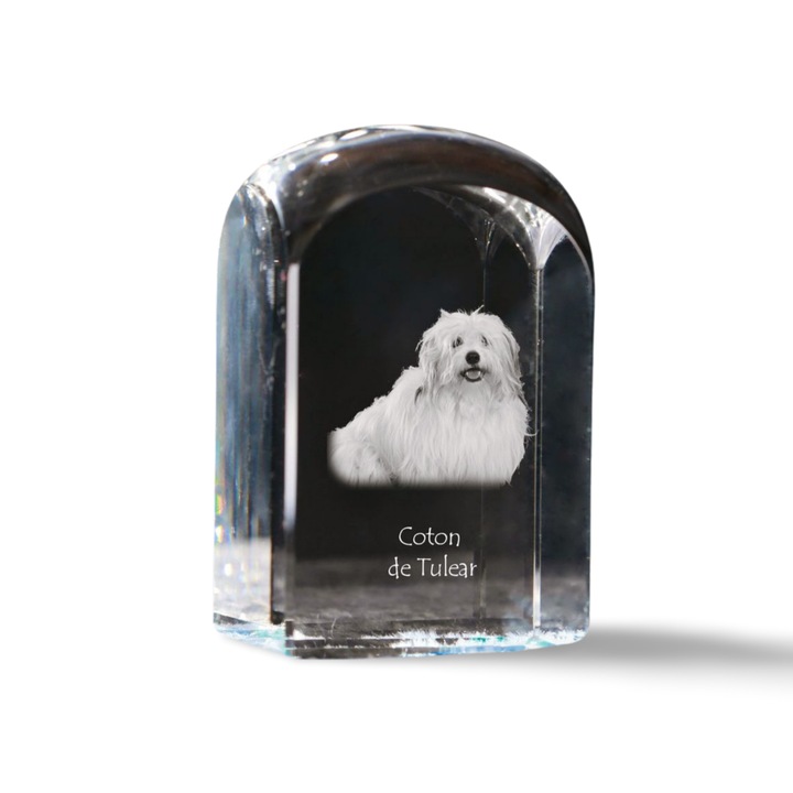 Art-Dog kristály dísztárgy, fényképpel személyre szabott, 10x6x6cm, Coton de Tulear