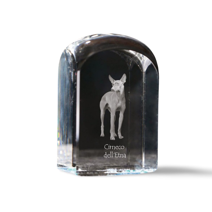 Kristály levélnehezék, Art-Dog, fényképpel személyre szabott, 10x6x6cm, átlátszó