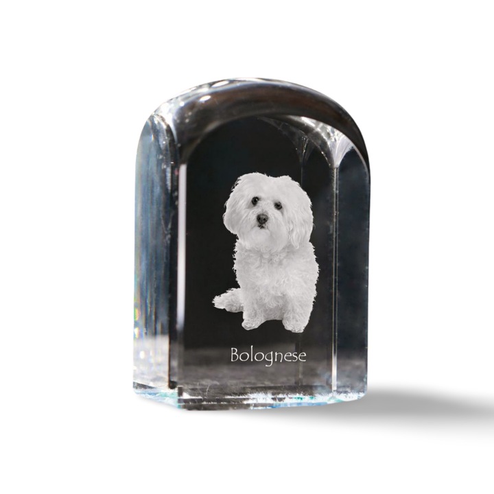 Kristály papírnehezék, Art-Dog, fényképpel személyre szabott, 10x6x6cm, átlátszó