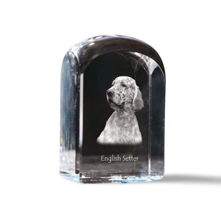 Kristály dísztárgy, Art-Dog, személyre szabott fényképpel, 10x6x6cm, Angol Szetter