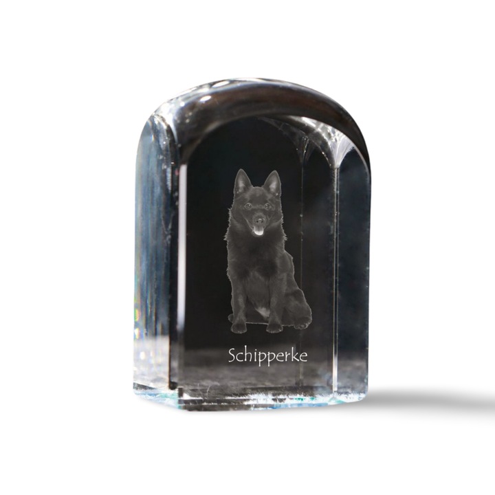 Kristály dekorációs kiegészítő, Art-Dog, fényképpel személyre szabott, 10x6x6cm, átlátszó, Schipperke modell