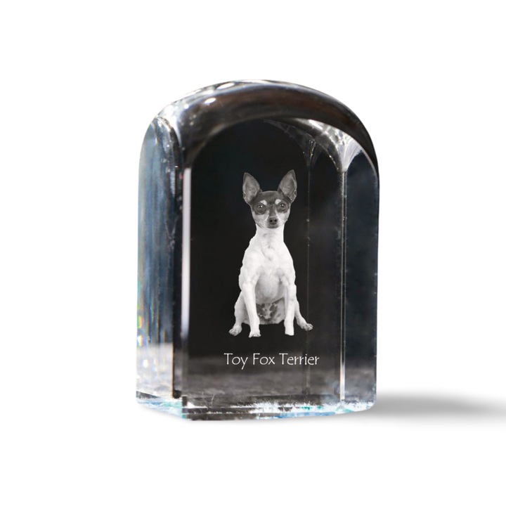 Kristály papírnehezék, Art-Dog, fényképpel személyre szabott, 10x6x6cm, átlátszó