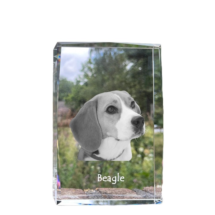 Cadou personalizat, Art-Dog, rama foto din cristal, 18x12x4cm, cu fotografie de caine