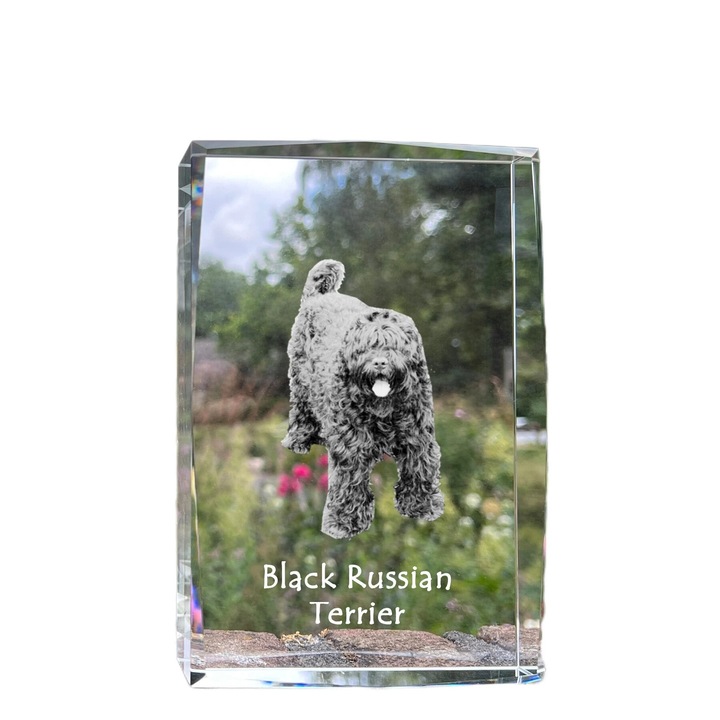 Rama foto cristal Art-Dog, gravura personalizata, 18x12x4cm