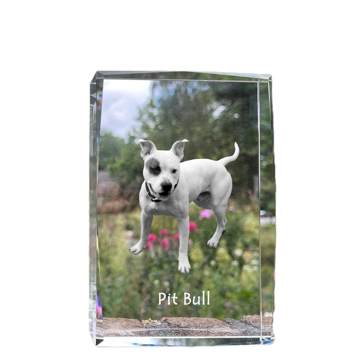 Rama foto din cristal Art-Dog, 18x12x4cm, cu fotografie caine