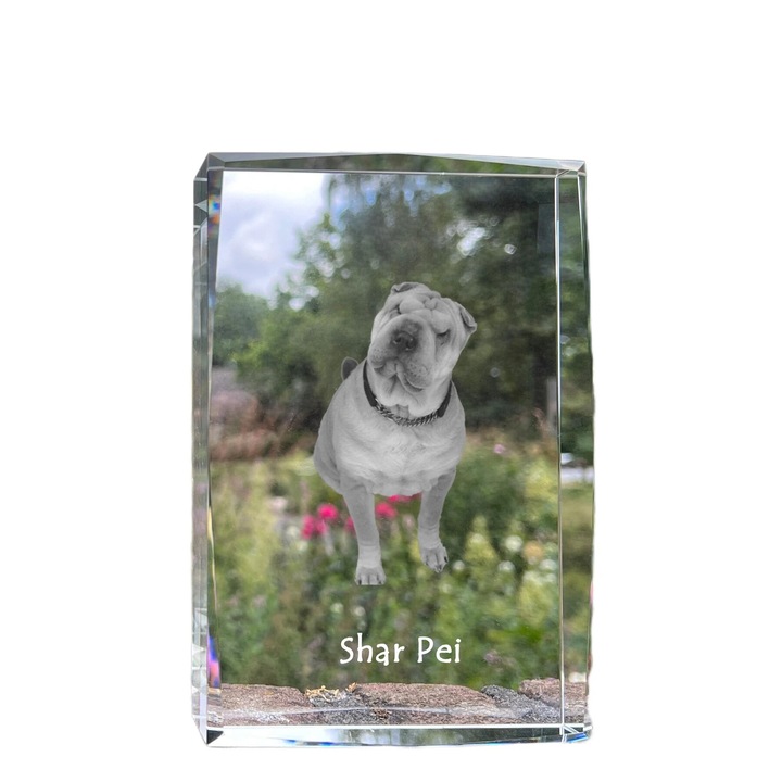 Tablou din cristal Art-Dog, 18x12x4cm, cu fotografie personalizata, cadou unic pentru iubitorii de animale