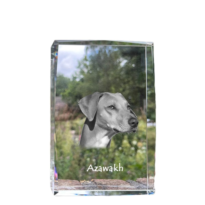 Tablou, Art-Dog, cristal cu fotografie, 18x12x4cm, pentru caini