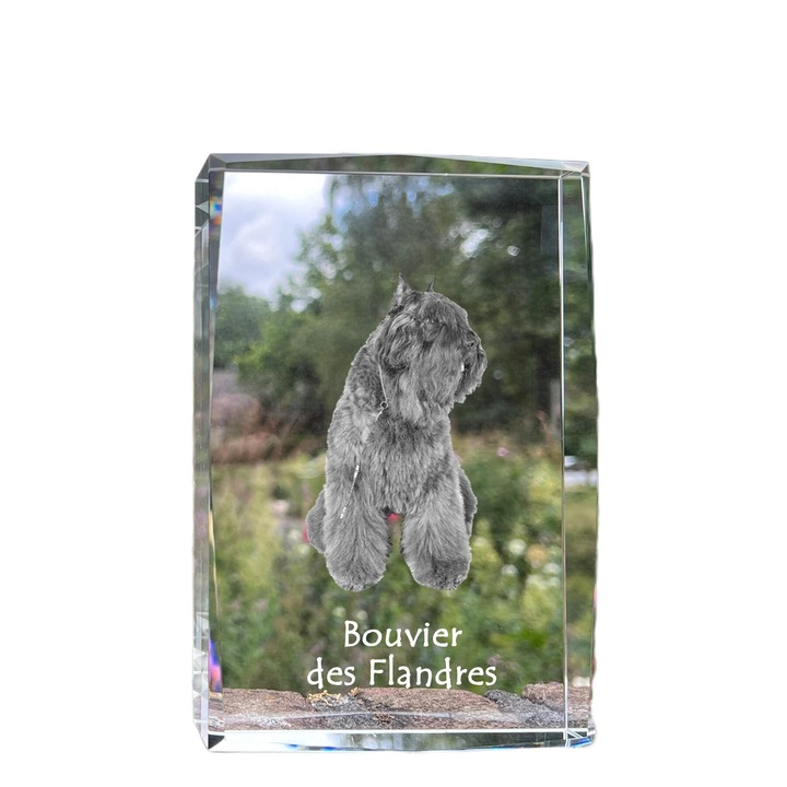 Rama foto din cristal Art-Dog, gravura personalizata, 18x12x4cm