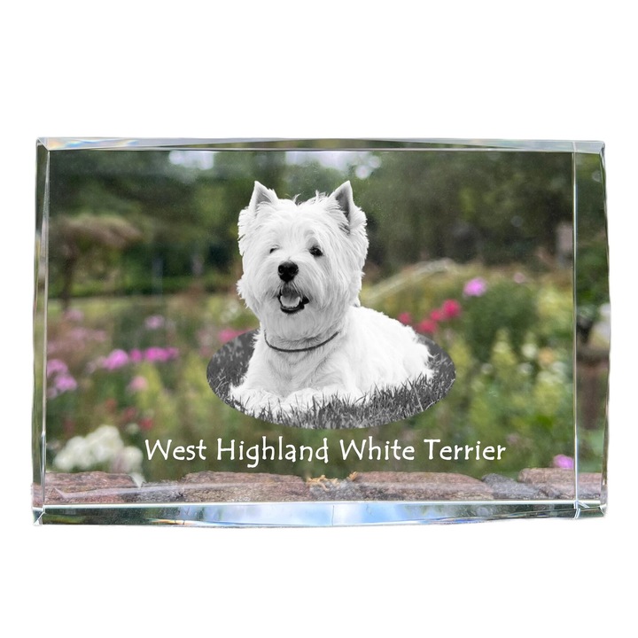 Art-Dog kristály képkeret, terrier, 18x12x4cm