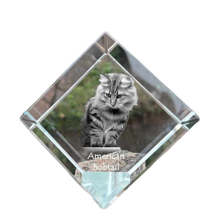 Cub decorativ din cristal Art-Dog, gravura pisica, transparent, 8x8x8cm