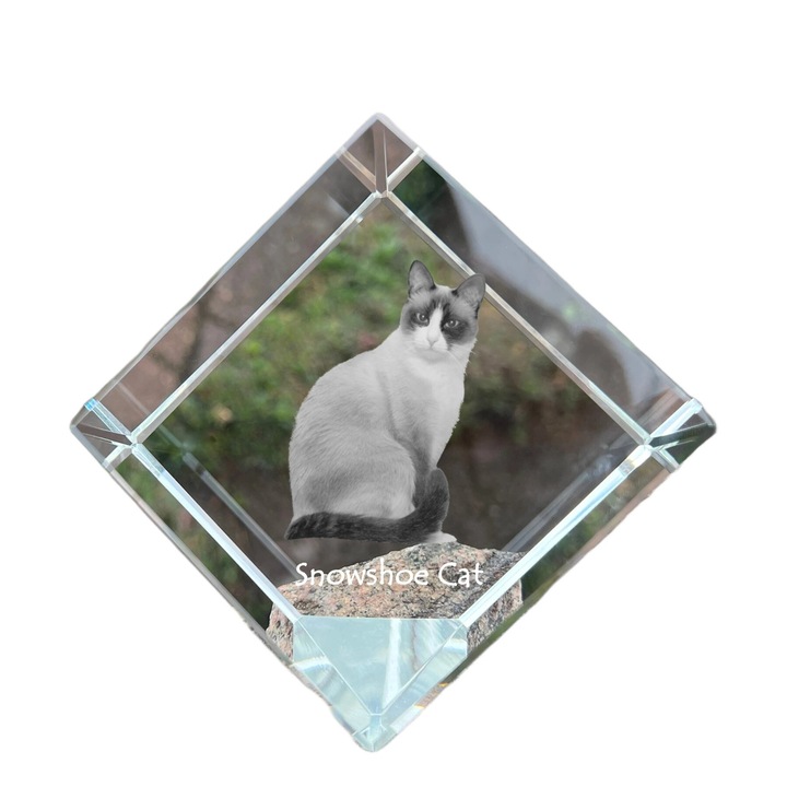 Cubo cristal cu gravura pisica, Art-Dog, 8x8x8cm, transparent