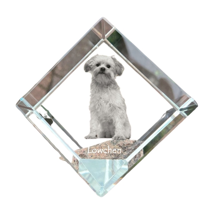 Cub din cristal, Art-Dog, personalizabil, 8x8x8cm, pentru birou