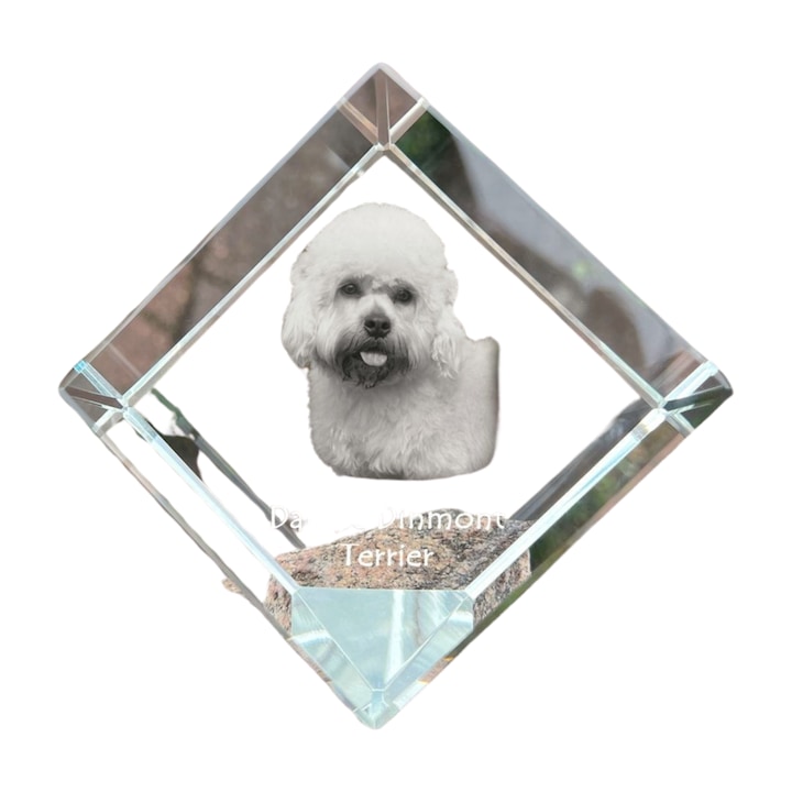 Cub din cristal, Art-Dog, personalizabil, 8x8x8cm, pentru birou
