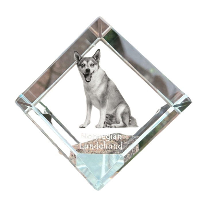 Cub din cristal Art-Dog, personalizabil, 8x8x8cm, cu gravura animal, cadou elegant