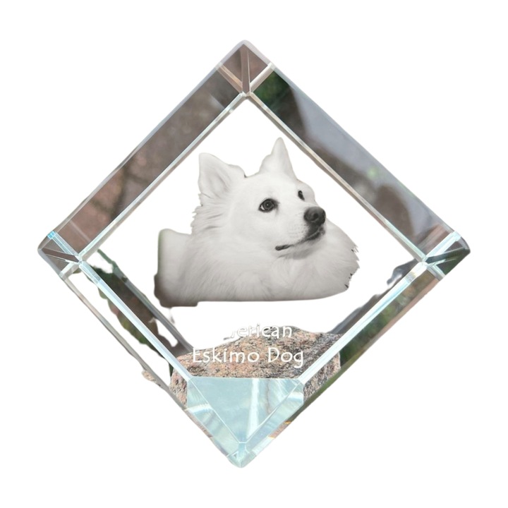 Cub din cristal cu imagine personalizata, Art-Dog, 8x8x8cm, transparent