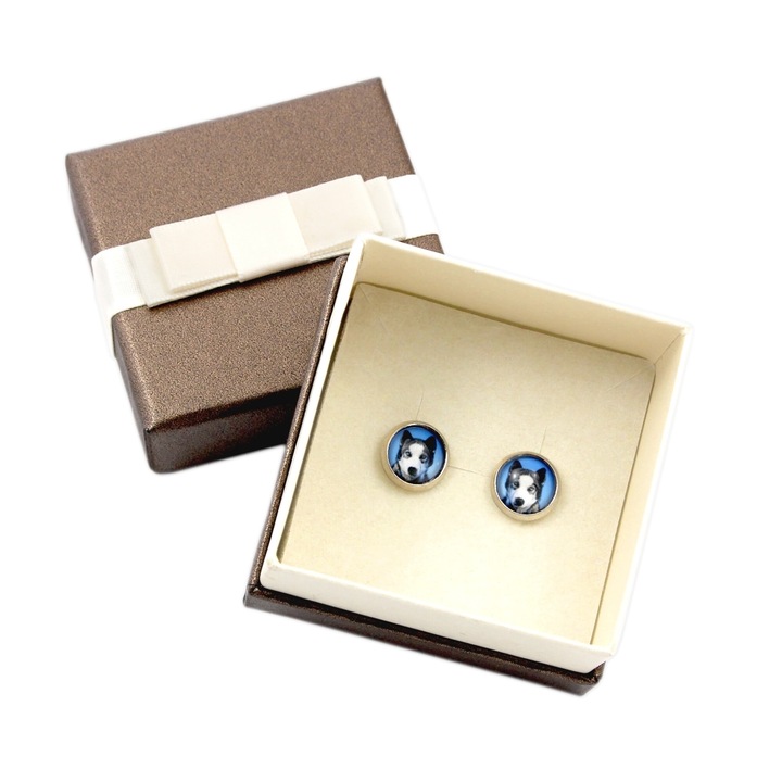 Cercei dama, Art-Dog, metal, argintiu