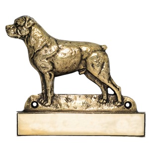 Zgarzi, lese si hamuri