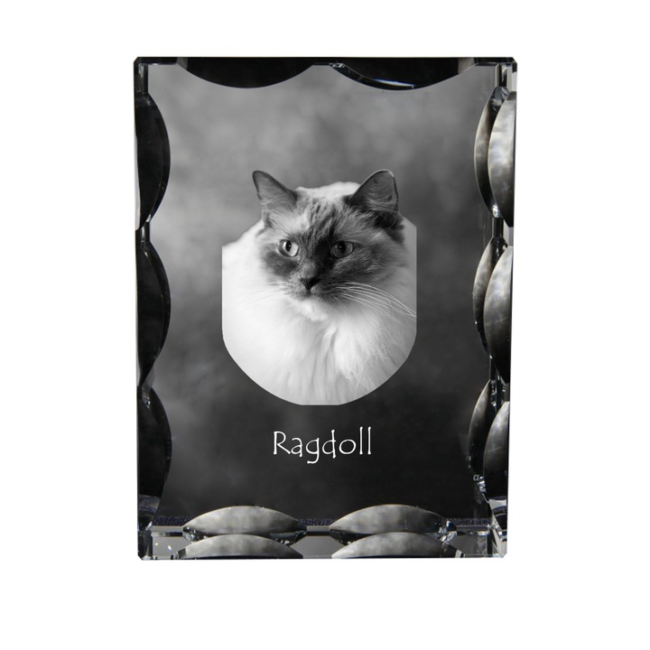 Statueta cristal Art-Dog, margini decorative, personalizabila, 12x9x5cm