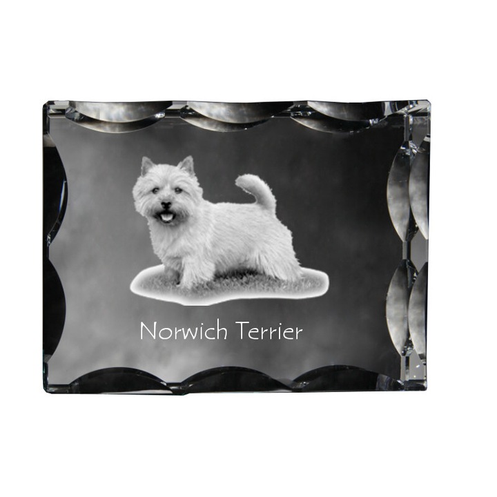 Dekoratív kristály Art-Dog, Norwich Terrier, 12x9x5cm, fényképpel személyre szabható