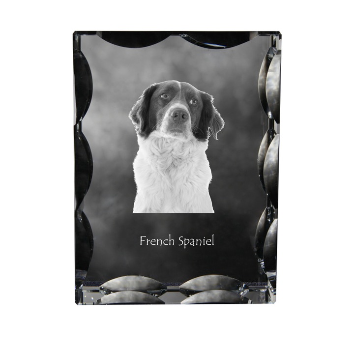 Dekoratív kristály Art-Dog, Epagneul Francais, 12x9x5cm, személyre szabható fényképpel